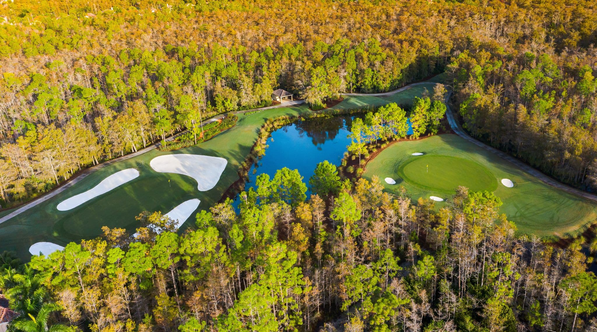 The 13th green and 14th tee, cut through the preserve