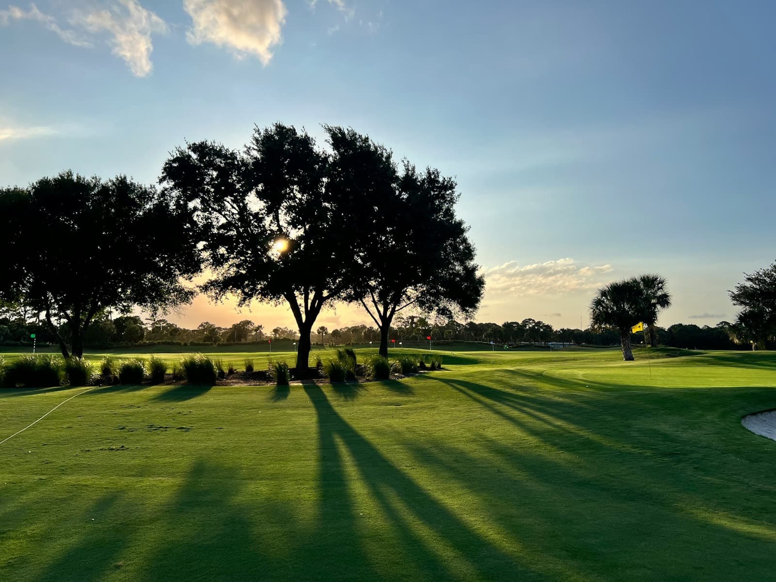 A putting green and live oaks casting long shadows at sunset